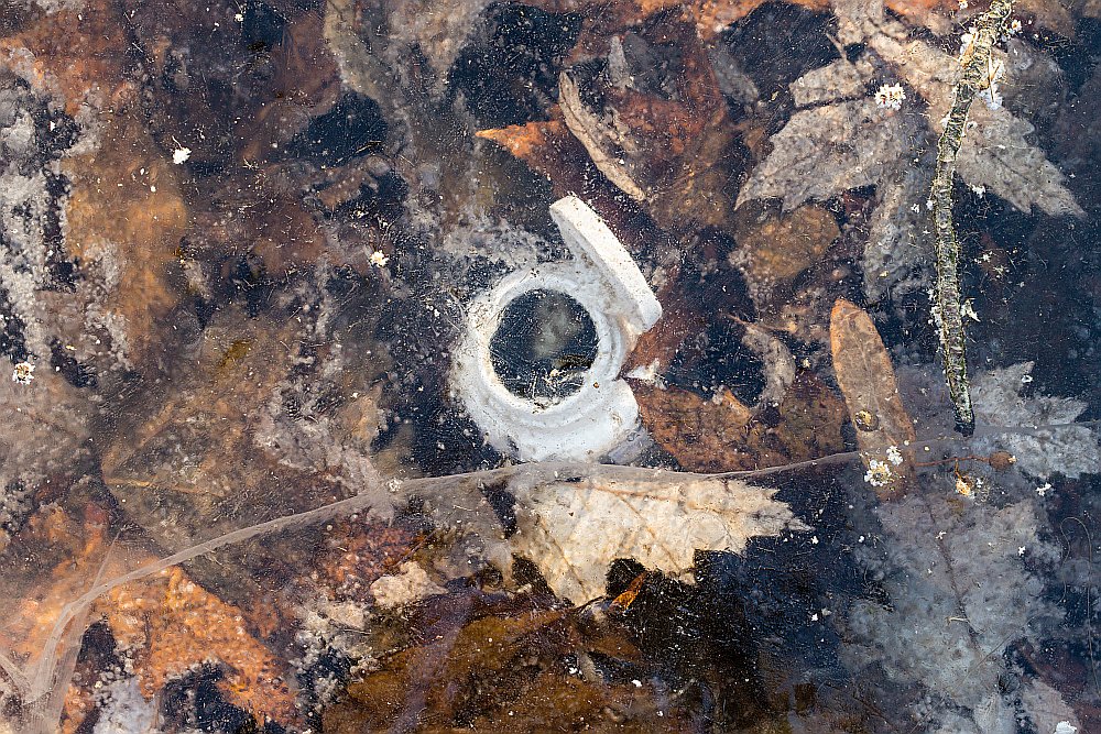 frozen ice 